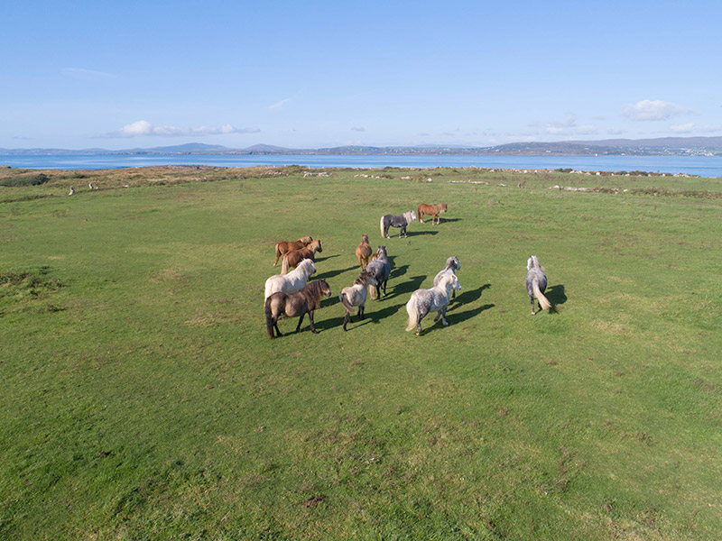 6 Private Islands for Sale in Ireland Island Seeker